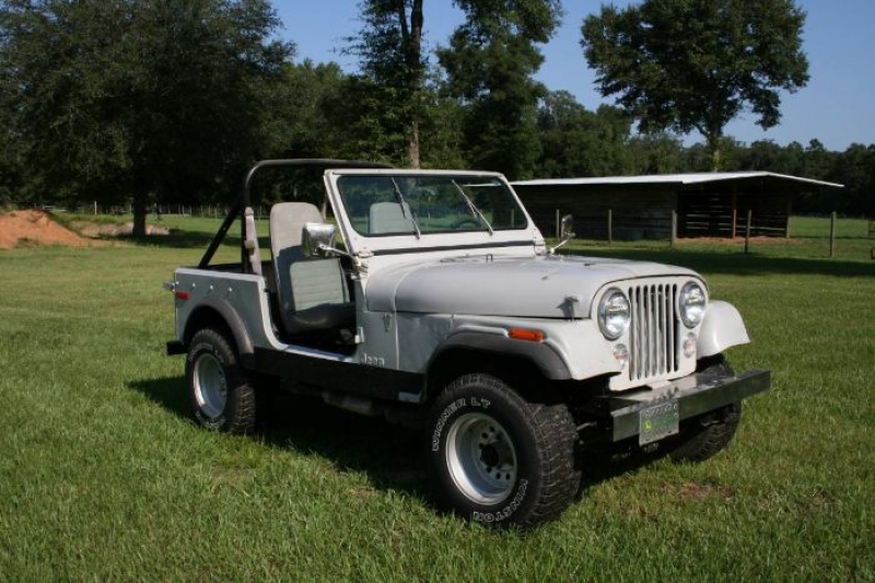1978 Jeep CJ5 for sale in Michigan (ID-119292) 1978 Jeep CJ5 for sale in Michigan (ID-119292)