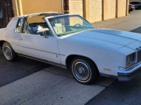 1978 Oldsmobile Cutlass for sale in Michigan (ID-136783)