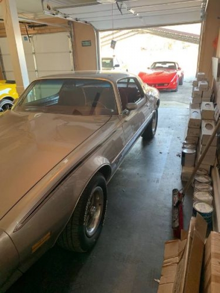 1978 Pontiac Coupe for sale in Michigan (ID-113118) 1978 Pontiac Coupe for sale in Michigan (ID-113118)