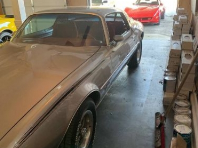 1978 Pontiac Coupe for sale