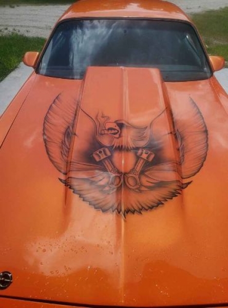 1978 Pontiac Firebird for sale in Michigan (ID-95722) 1978 Pontiac Firebird for sale in Michigan (ID-95722)