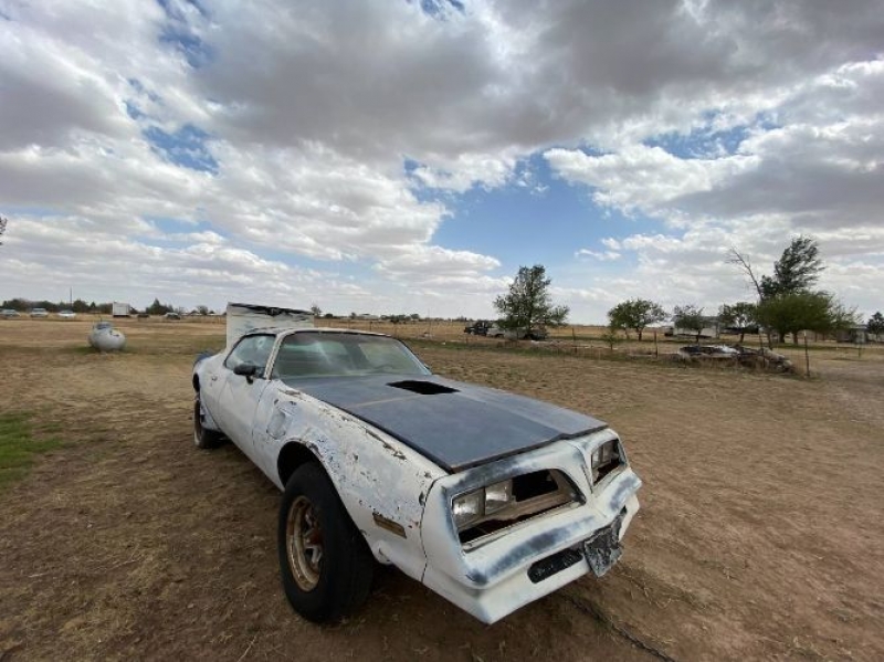 1978 Pontiac Firebird for sale in Michigan (ID-98098) 1978 Pontiac Firebird for sale in Michigan (ID-98098)