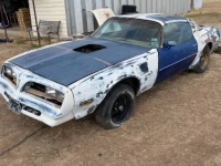 1978 Pontiac Firebird for sale in Michigan (ID-98098)