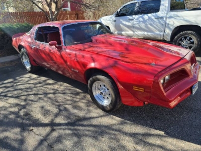 1978 Pontiac Firebird for sale