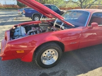 1978 Pontiac Firebird for sale in Michigan (ID-98458)