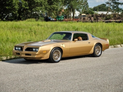 1978 Pontiac Firebird for sale