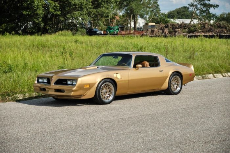 1978 Pontiac Firebird for sale in Michigan (ID-108173)