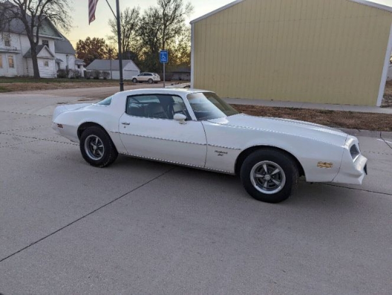 1978 Pontiac Firebird for sale in Michigan (ID-108701)