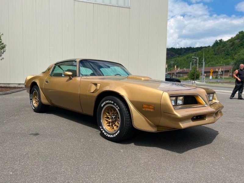1978 Pontiac Firebird for sale in Riverhead, New York (ID-109291)