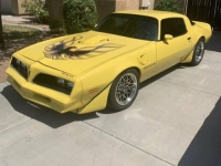 1978 Pontiac Firebird for sale in Michigan (ID-114409)