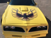 1978 Pontiac Firebird for sale in Michigan (ID-114409)