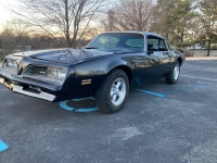 1978 Pontiac Firebird for sale in Michigan (ID-114690)