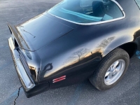 1978 Pontiac Firebird for sale in Michigan (ID-114690)