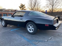 1978 Pontiac Firebird for sale in Michigan (ID-114690)