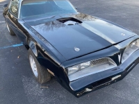 1978 Pontiac Firebird for sale in Michigan (ID-114690)