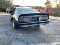 1978 Pontiac Firebird for sale in Michigan (ID-114690)