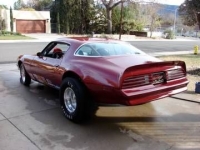 1978 Pontiac Firebird for sale in Michigan (ID-115528)