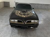 1978 Pontiac Firebird for sale in Michigan (ID-117843)