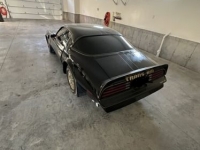 1978 Pontiac Firebird for sale in Michigan (ID-117843)