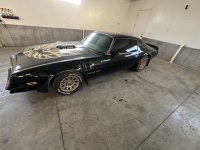 1978 Pontiac Firebird for sale in Michigan (ID-117843)