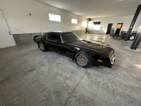 1978 Pontiac Firebird for sale in Michigan (ID-117843)