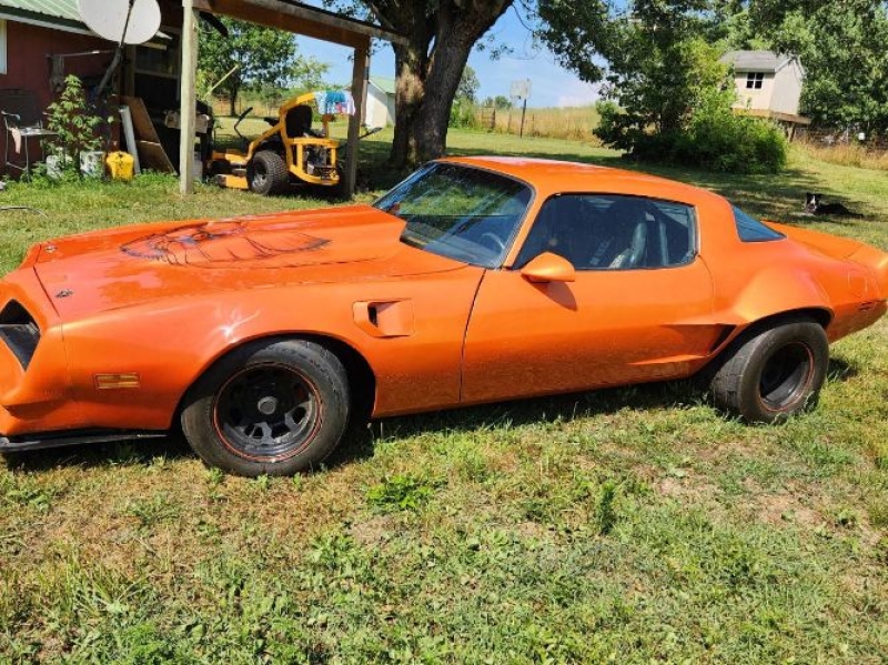 1978 Pontiac Firebird for sale in Michigan (ID-118182)