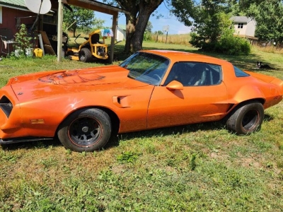1978 Pontiac Firebird for sale
