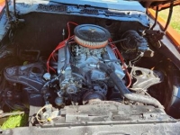 1978 Pontiac Firebird for sale in Michigan (ID-118182)