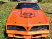 1978 Pontiac Firebird for sale in Michigan (ID-118182)