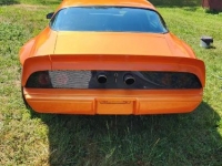1978 Pontiac Firebird for sale in Michigan (ID-118182)