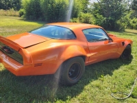 1978 Pontiac Firebird for sale in Michigan (ID-118182)