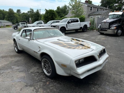 1978 Pontiac Firebird for sale