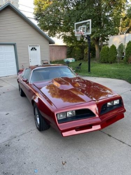 1978 Pontiac Firebird for sale in Michigan (ID-119236) 1978 Pontiac Firebird for sale in Michigan (ID-119236)