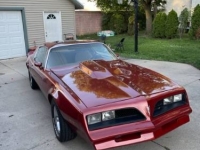 1978 Pontiac Firebird for sale in Michigan (ID-119236)