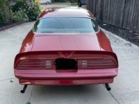 1978 Pontiac Firebird for sale in Michigan (ID-119236)