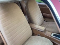 1978 Pontiac Firebird for sale in Michigan (ID-119236)