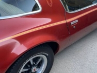 1978 Pontiac Firebird for sale in Michigan (ID-119236)