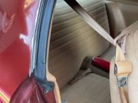 1978 Pontiac Firebird for sale in Michigan (ID-119236)