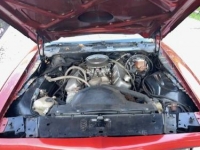 1978 Pontiac Firebird for sale in Michigan (ID-119236)