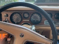 1978 Pontiac Firebird for sale in Michigan (ID-119236)