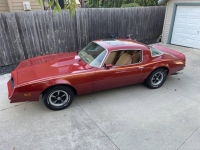 1978 Pontiac Firebird for sale in Michigan (ID-119236)