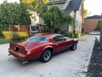 1978 Pontiac Firebird for sale in Michigan (ID-119236)
