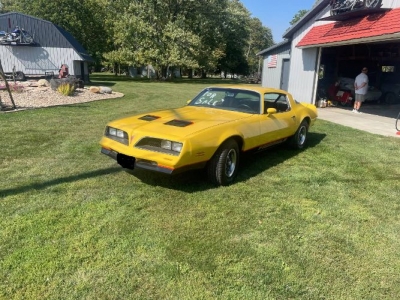 1978 Pontiac Firebird for sale