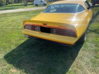 1978 Pontiac Firebird for sale in Michigan (ID-123588)