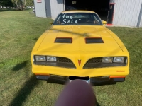 1978 Pontiac Firebird for sale in Michigan (ID-123588)