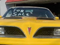 1978 Pontiac Firebird for sale in Michigan (ID-123588)
