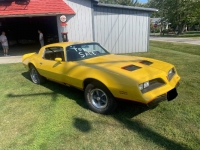 1978 Pontiac Firebird for sale in Michigan (ID-123588)