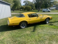 1978 Pontiac Firebird for sale in Michigan (ID-123588)