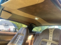 1978 Pontiac Firebird for sale in Michigan (ID-123588)