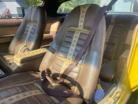 1978 Pontiac Firebird for sale in Michigan (ID-123588)